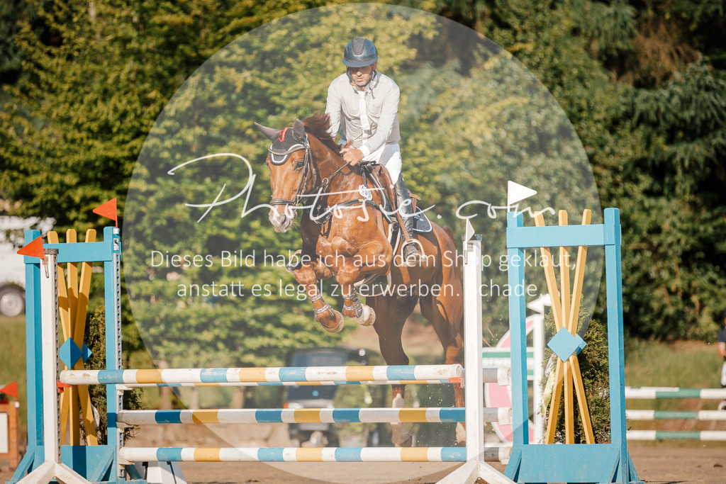 3I6A6075 | Stimmungsvolle Portraits und Reitsportfotografie im Ruhrgebiet und im Münsterland.

Pferdefotografie, Hundefotografie, Tierfotografie, Reportagen, Portraits von Tier und Mensch, Turnierfotografie in Bochum, Recklinghausen, Marl, Haltern am See, Dülmen.. - Realisiert mit Pictrs.com