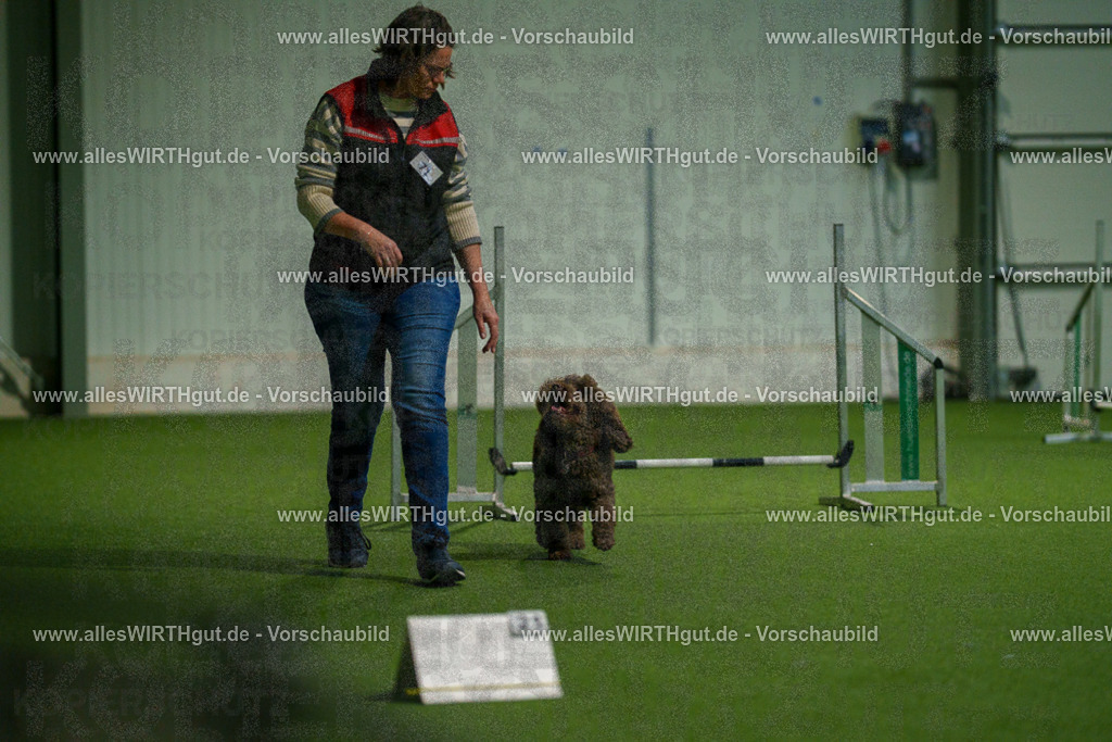 7R508384 | Professionelle Tierfotografie in Mönchengladbach von Daniel Wirth (allesWIRTHgut). Liebevolle & natürliche Bilder von Hunden & Katzen für unvergessliche Erinnerungen.