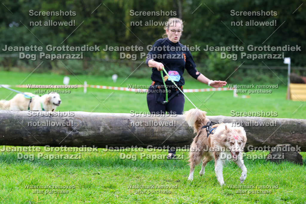 Dog Paparazzi -  SD1026-1102 | Dog Paparazzi Jeanette Grottendiek Fotografie & Videografie - Realisiert mit Pictrs.com