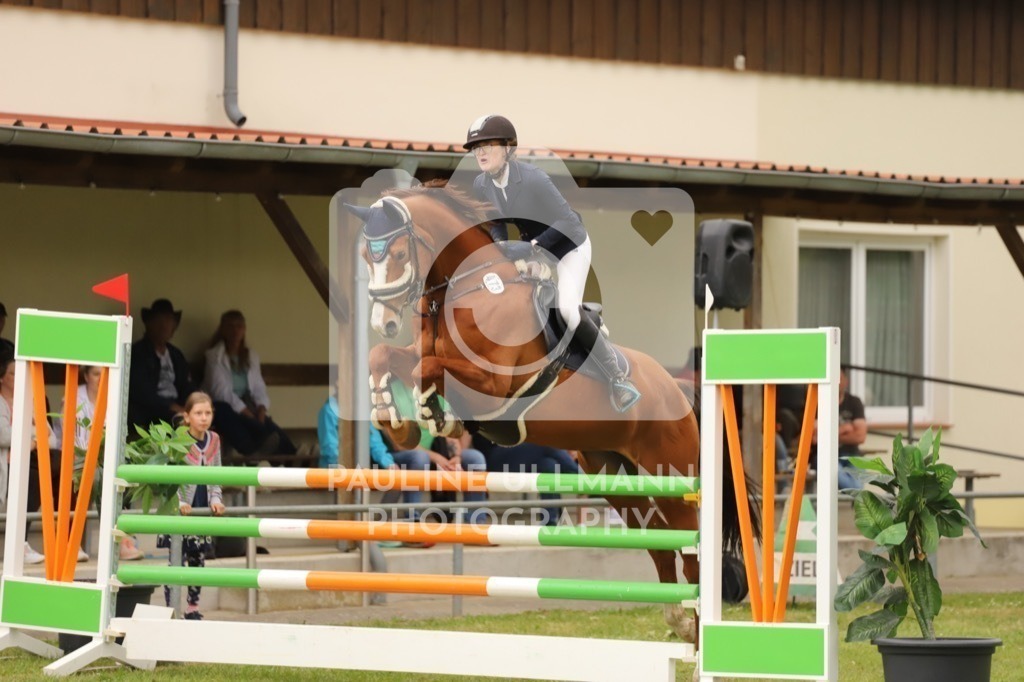 IMG_7621 | Pauline Ullmann Photography - Realisiert mit Pictrs.com