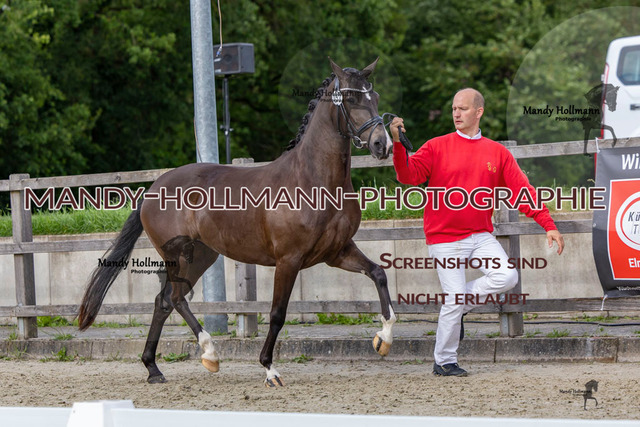 73 (14 von 14) | mandyhollmannphotographie