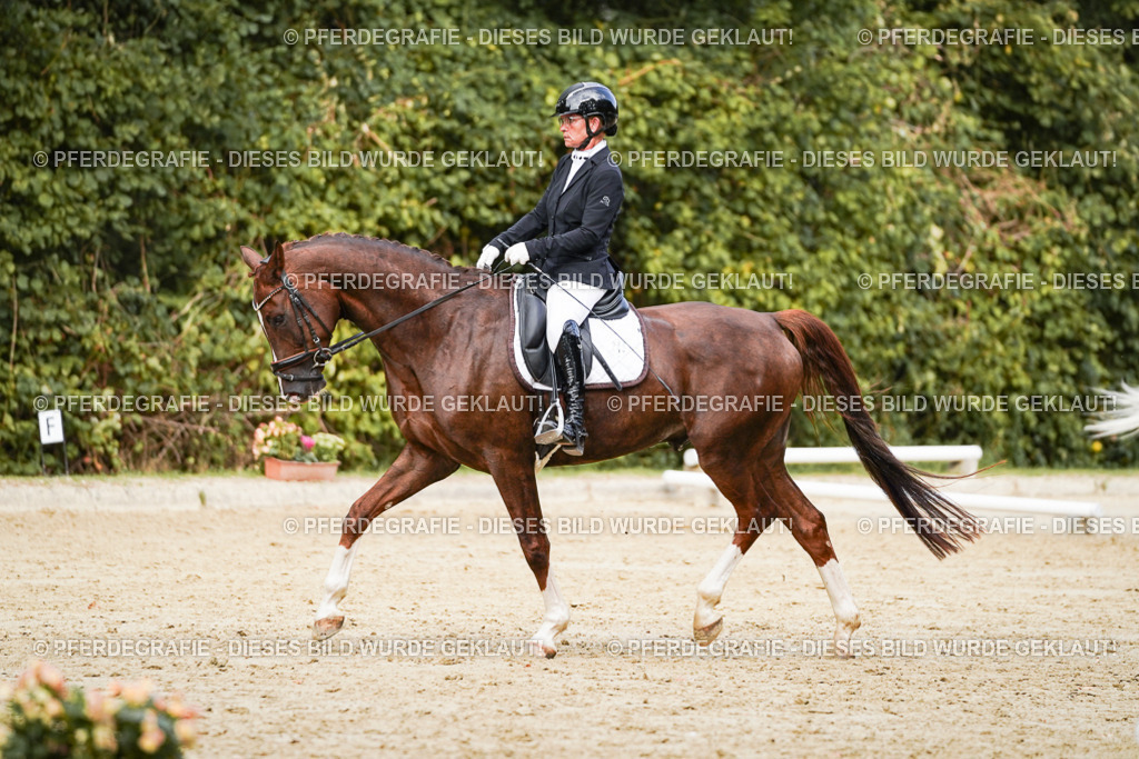 DSC02682 | Pferdegrafie