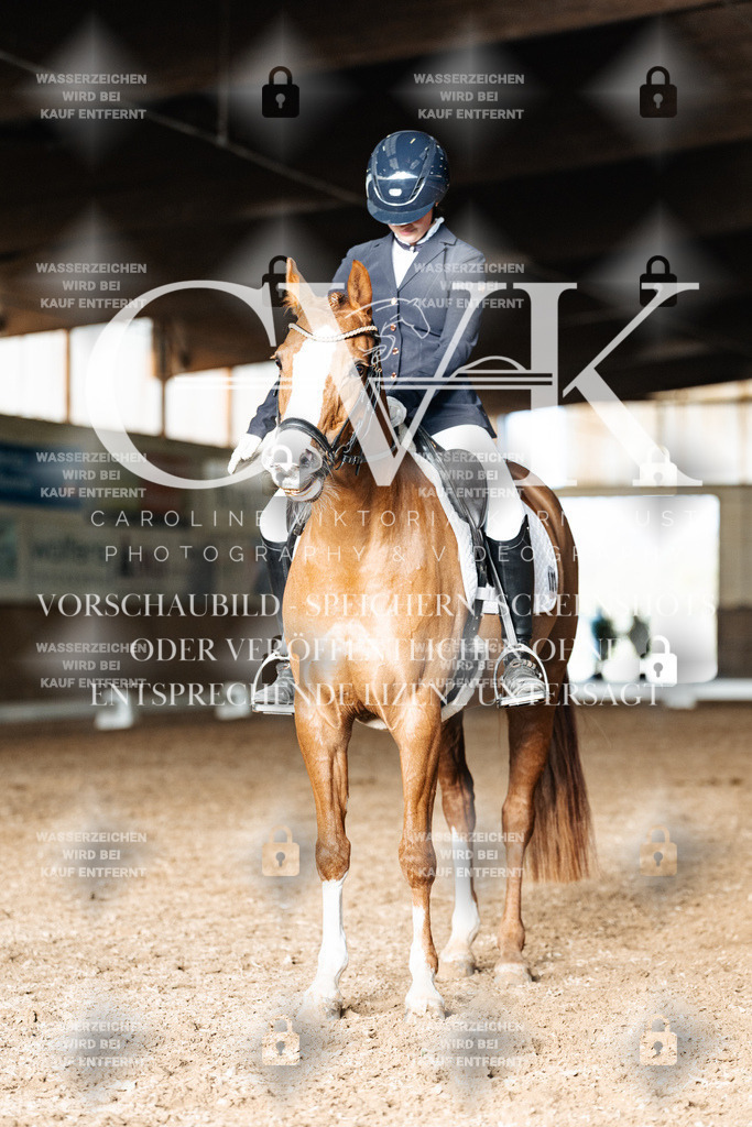 CK903040 | Turnierfotografie Pferdefotografie Trier Rheinland-Pfalz Pferdesport Reitsport Tierfotografie Sportfotografie Pferdevideo Pferdevideografie Equestrianvideography equestrianphotography  - Realisiert mit Pictrs.com