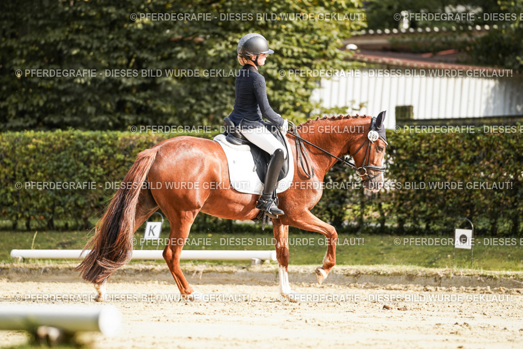 DSC05918 | Pferdegrafie