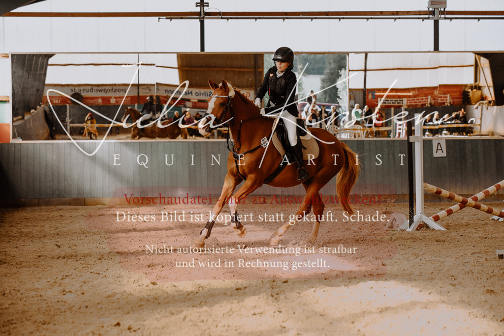 DSC_7452 | Pferde- und Turnierfotografie in Westsachsen. Pferdeportraits, Auftragszeichnungen und intuitive Kunst.