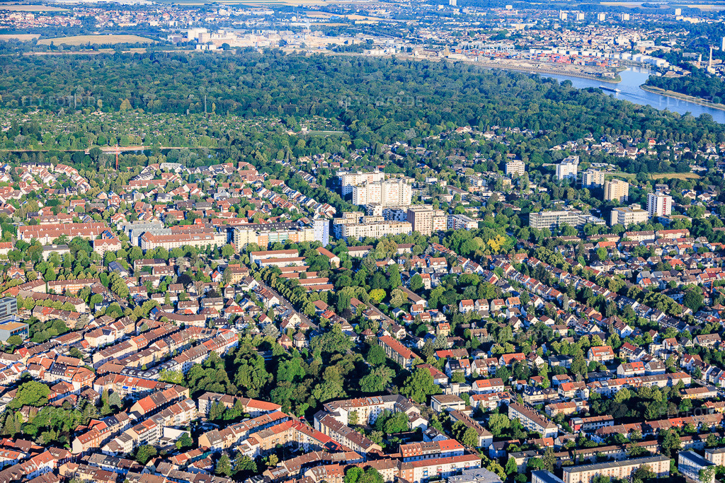 Luftbild: Stadtteilübersicht aus Osten vom August-Bebel-Park bis zum Waldpark am Rheinufer im Ortsteil Neckarau in Mannheim im Bundesland Baden-Württemberg in Deutschland. – Foto: IMG_157417.jpg vom 18.06.2026 durch Werner Riehm/FLY-FOTO.de – Auflösung des Originals: 5930 x 3954 px