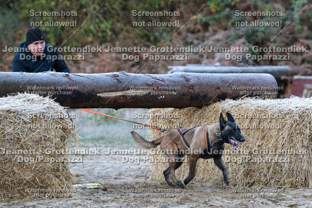 Dog Paparazzi - Strongdog 10-25-108 | Dog Paparazzi Jeanette Grottendiek Fotografie & Videografie - Realisiert mit Pictrs.com