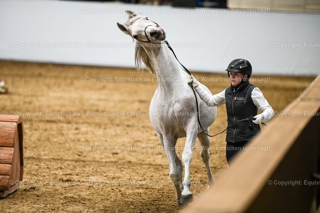 20260307_Hengstvorstellung-Marbach_0431 | equistock