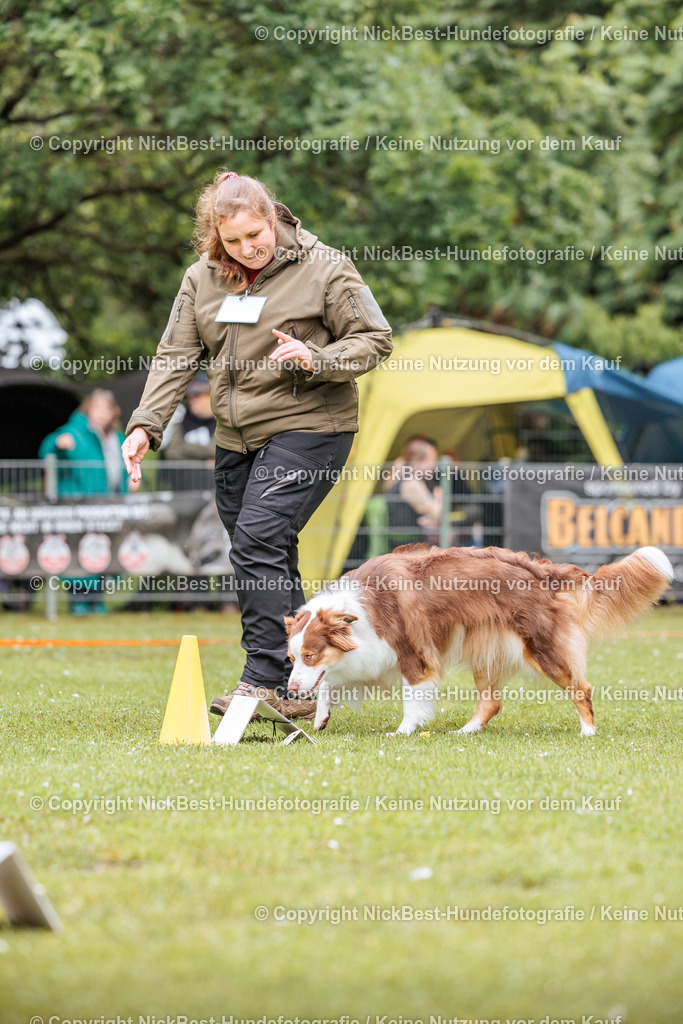 RO-Blumenthal-2026-Nickbest-Hundefotografie-1242 | Dein Hund! Dein Moment! Deine Erinnerungen! Hundefotografie in Bremen Blumenthal. Ich fange die besonderen Momente deines Vierbeiners ein – ob Indoor mit Blitzanlage oder in der freien Natur. Sicher dir dein Moment und dein Termin für eure Erinnerungen.