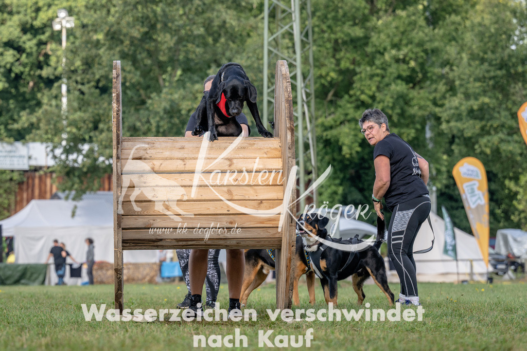 1026_ZZ92291 | kk-dogfotos