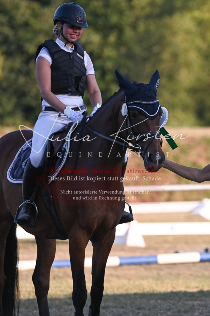 DSC_9281 | Pferde- und Turnierfotografie in Westsachsen. Pferdeportraits, Auftragszeichnungen und intuitive Kunst.