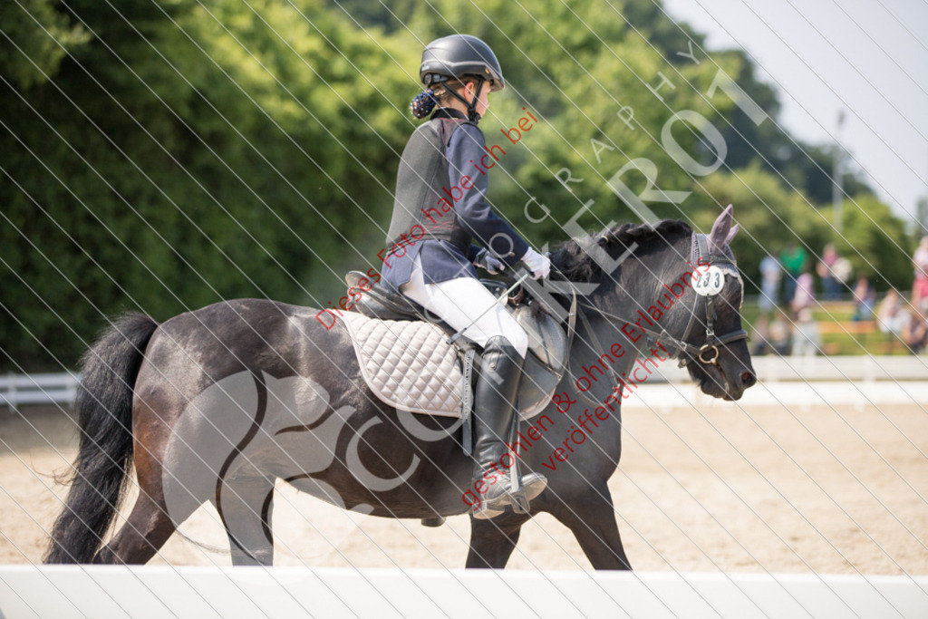 IMG_3287 | Sport-, Event- und Tierfotos in Profiqualität. Einfach auswählen, bestellen und herunterladen. Dein Moment – perfekt festgehalten.