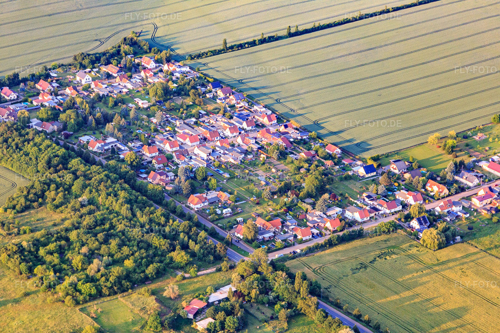 Luftbild: Siedlung Karl-Marx-Straße in Aschersleben im Bundesland Sachsen-Anhalt in Deutschland. Foto: IMG_148024.jpg vom 11.06.2025 durch Werner Riehm/FLY-FOTO.de