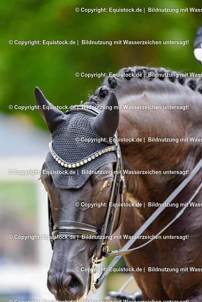 20250608_03_GP-Special-Tour_0584 | Foto: Thomas Hartig