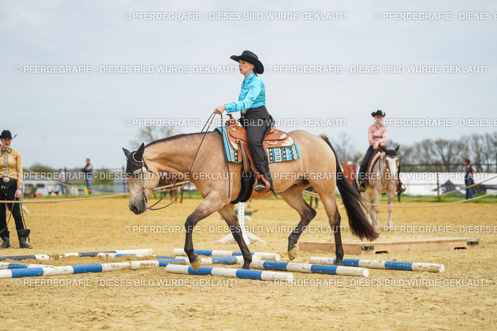 DSC03448 | Pferdegrafie