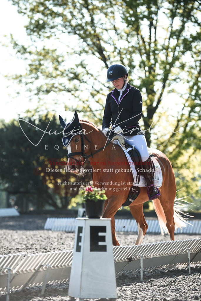 DSC_8407 | Pferde- und Turnierfotografie in Westsachsen. Pferdeportraits, Auftragszeichnungen und intuitive Kunst.
