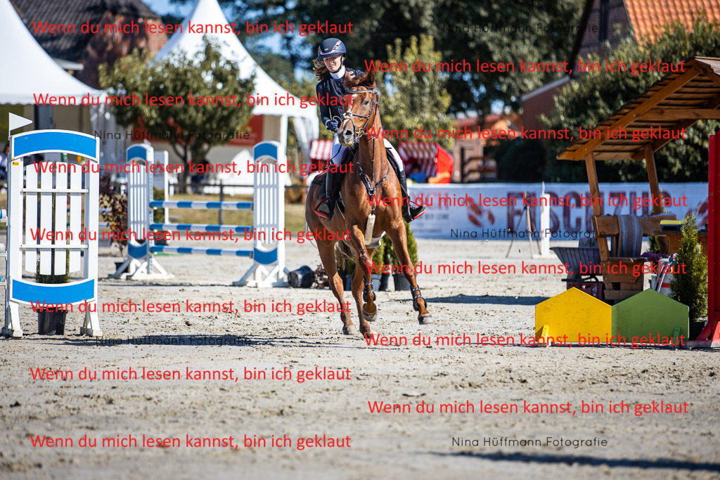 BK1A5698 | Turnierbilder Turnierfotos Nina Hüffmann Turnierfotografie Pferdefotografie Tierzeichnung Haustierzeichnung Pferdezeichnung Hundezeichnung Videograf  - Realisiert mit Pictrs.com