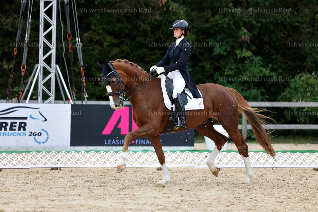 11-201-Dressur S___-StoibPH-935 | working equitationturnier fotograf videograf stoibphotography marixx film working equitation deutschland reitsport turnierfotografie eventfotografie equestrian events