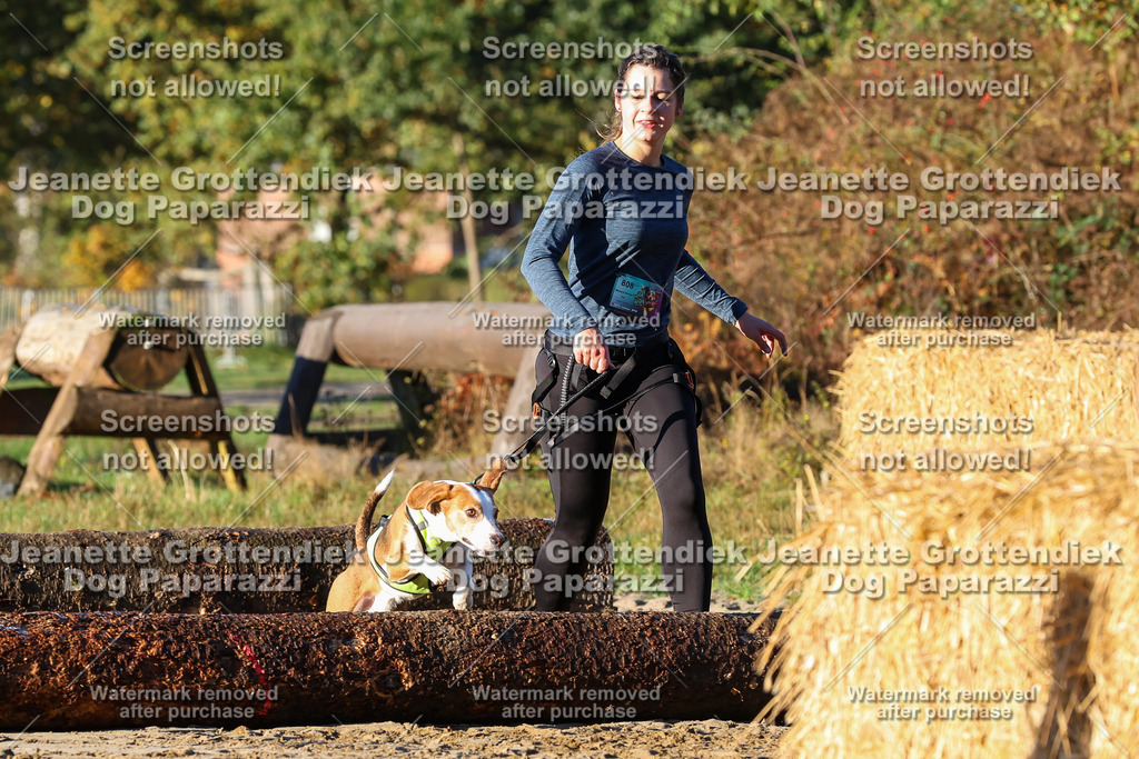 Dog Paparazzi - Strongdog 10-25-868 | Dog Paparazzi Jeanette Grottendiek Fotografie & Videografie - Realisiert mit Pictrs.com