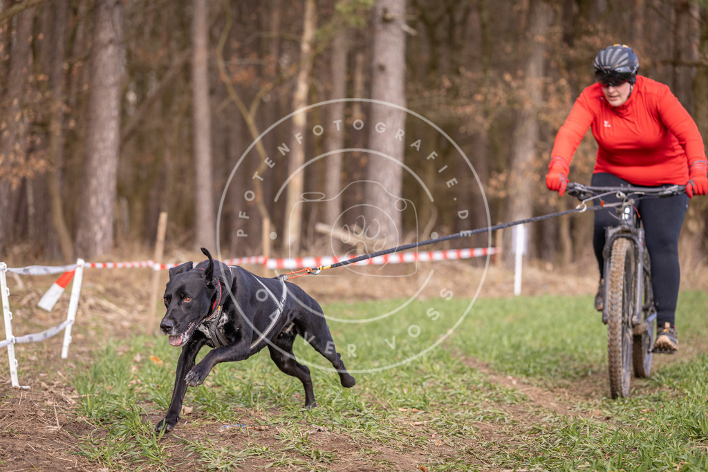 DV3A6162 | Hundefotografie, Tierfotograf, Pfotenfotografie, Fotoshooting Hund, Hunde Portrait, Hundesport, Hundeportraits, Heideshooting, Hunde, Sportfotograf, Hundefotograf, Turnierhundsport, THS,  - Realisiert mit Pictrs.com
