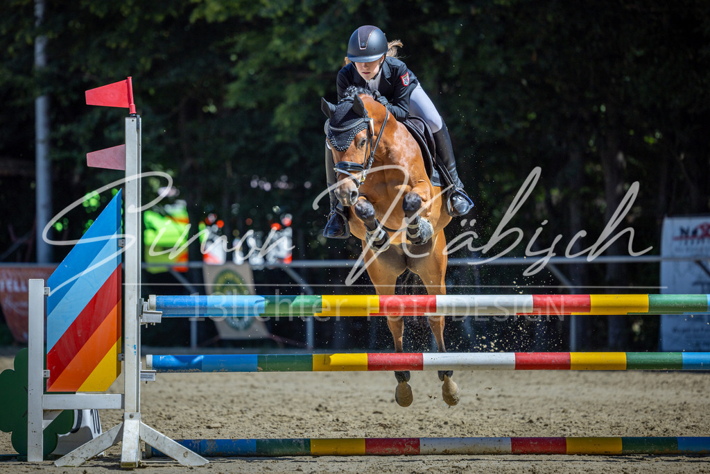 20260704-_3LI8072 | Tierfotografie Pferde, Hunde, Katzen, Haustiere.
Turnierfotografie Reitturniere, Reiten, Springreiten, Dressur in Hanau, dem Main-Kinzig-Kreis und dem Rhein-Main- Gebiet um Frankfurt