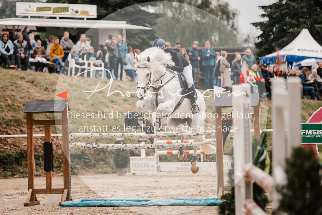 3I6A2088 | Stimmungsvolle Portraits und Reitsportfotografie im Ruhrgebiet und im Münsterland.

Pferdefotografie, Hundefotografie, Tierfotografie, Reportagen, Portraits von Tier und Mensch, Turnierfotografie in Bochum, Recklinghausen, Marl, Haltern am See, Dülmen.. - Realisiert mit Pictrs.com