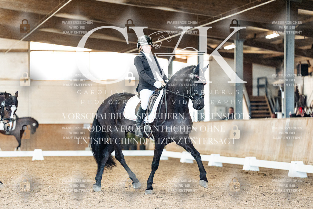 CK909730 | Turnierfotografie Pferdefotografie Trier Rheinland-Pfalz Pferdesport Reitsport Tierfotografie Sportfotografie Pferdevideo Pferdevideografie Equestrianvideography equestrianphotography  - Realisiert mit Pictrs.com
