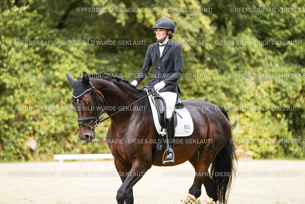 DSC01934 | Pferdegrafie