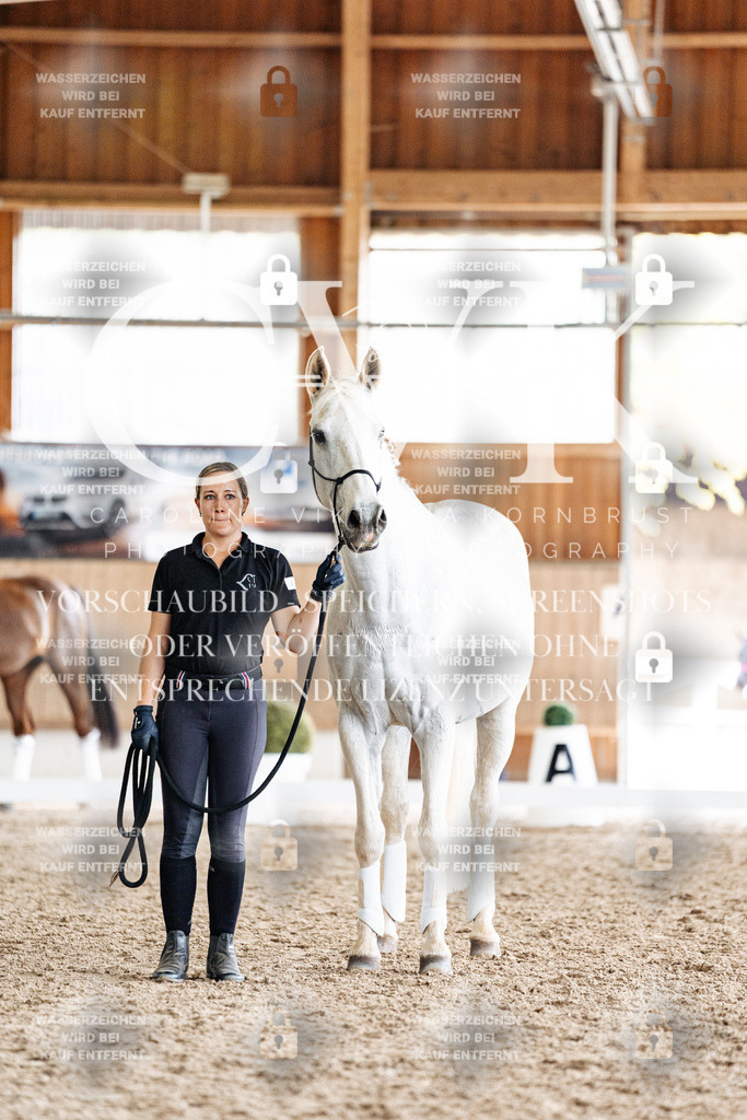 CK908223 | Turnierfotografie Pferdefotografie Trier Rheinland-Pfalz Pferdesport Reitsport Tierfotografie Sportfotografie Pferdevideo Pferdevideografie Equestrianvideography equestrianphotography  - Realisiert mit Pictrs.com