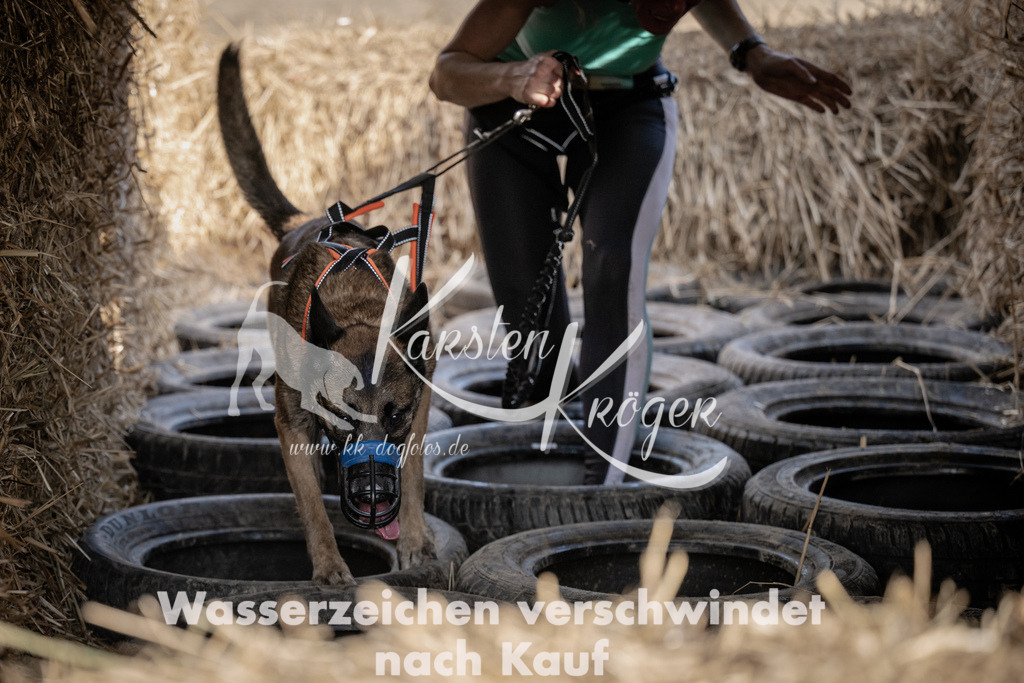 1201_ZZ93395 | kk-dogfotos