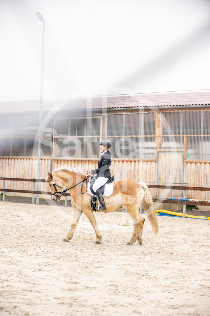 DSC_4172 | sattelsport - Realisiert mit Pictrs.com