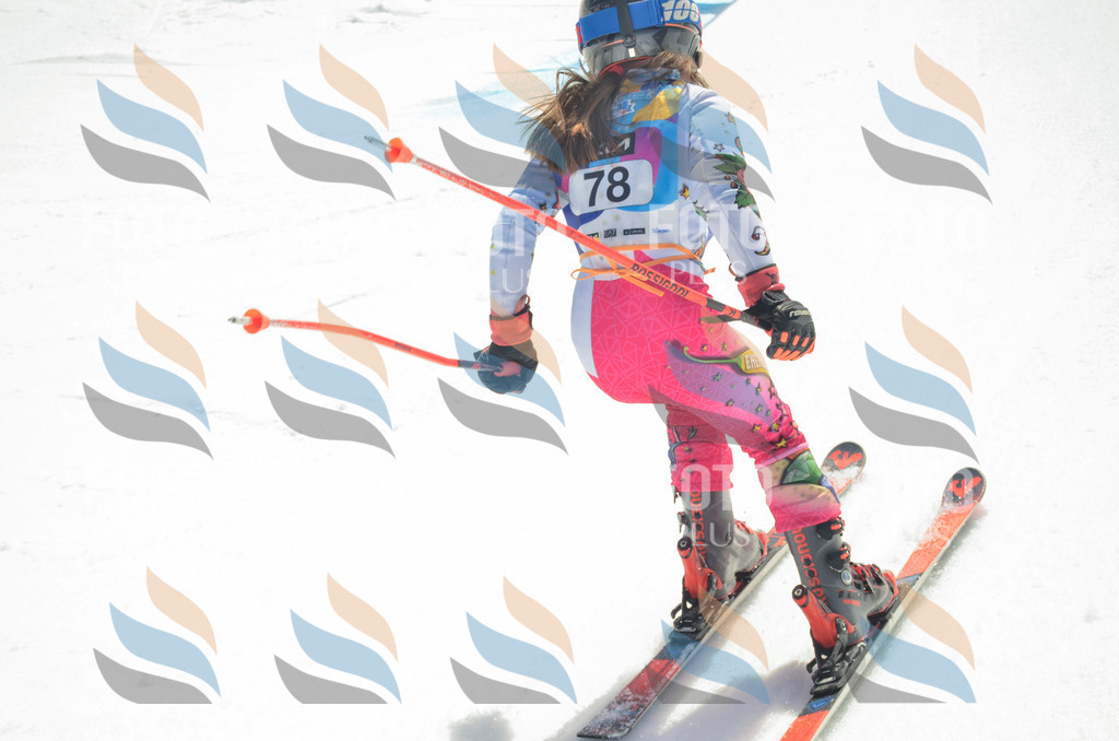 _ELE5532 | holidayphoto