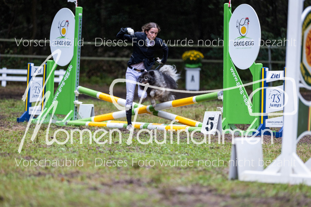 HB-JaD-014 | MomenTaufnahmen Pferdesportfotos