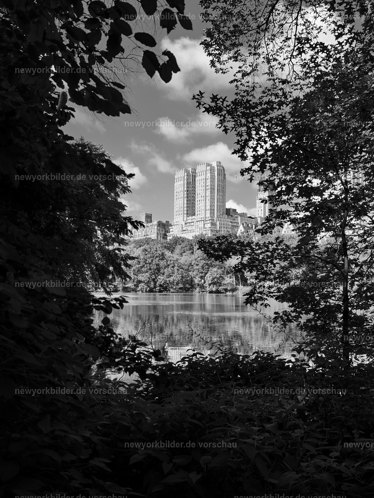 Ein versteckter Blick durch die Bäume auf den See im Central Park – gegenüber ragen die Gebäude, ein Motiv voller Harmonie und urbaner Schönheit | Zwischen den Bäumen öffnet sich ein stiller Blick auf den See im Herzen des Central Parks. Das Wasser liegt ruhig, als würde es die Hektik der Stadt für einen Moment vergessen lassen. Gegenüber erheben sich die Gebäude von Manhattan, ihre Fassaden spiegeln die Sonne und erinnern daran, dass hier zwei Welten aufeinandertreffen: die Natur und die pulsierende Metropole. Dieses Motiv ist zeitlos schön – ein Ort, an dem man die Seele New Yorks spürt, nicht in den Straßen voller Bewegung, sondern in der Stille zwischen den Ästen. Es erzählt von Balance, von der Kraft der Natur inmitten von Glas und Stahl, und von Augenblicken, die man festhalten möchte, weil sie selten sind. Für Liebhaber von urbaner Fotografie und der einzigartigen Atmosphäre des Central Parks ist dieses Bild ein echtes Highlight. Es fängt die Magie der Stadt ein – dort, wo Ruhe und Energie sich begegnen.