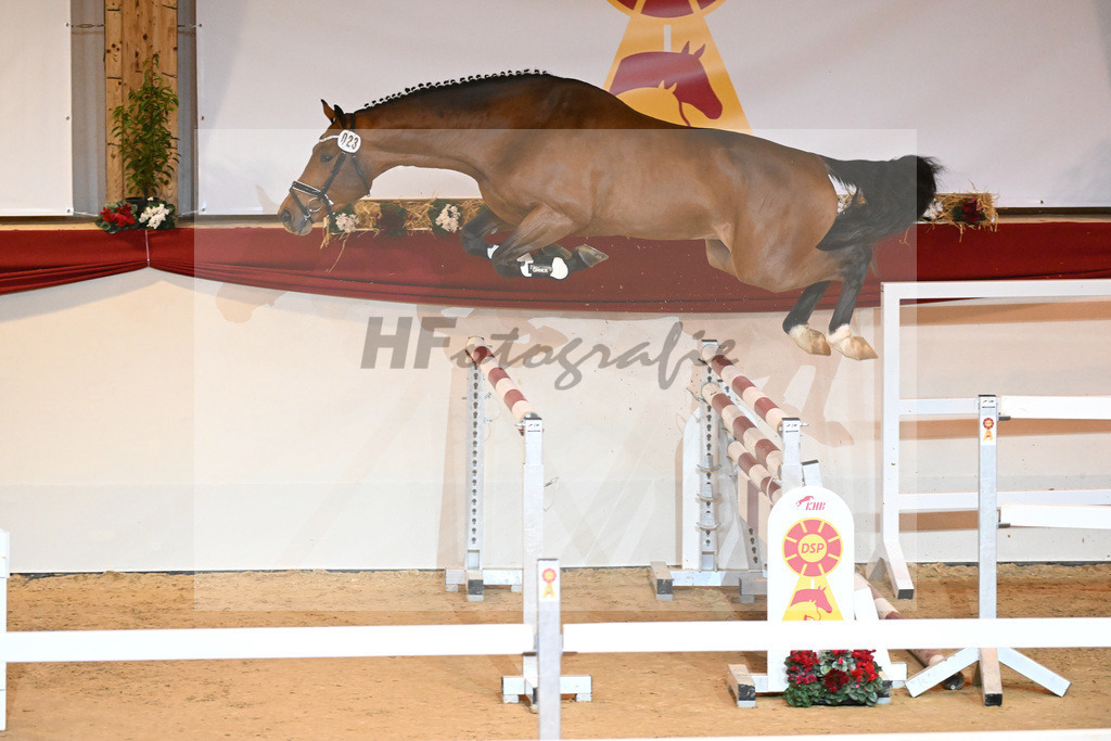 Kat-Nr. 23 Hardrock Z_VDL Stud_1230950 | hf-fotografie - Realisiert mit Pictrs.com