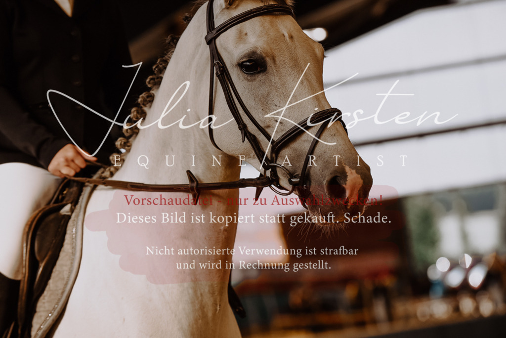 DSC_7419 | Pferde- und Turnierfotografie in Westsachsen. Pferdeportraits, Auftragszeichnungen und intuitive Kunst.