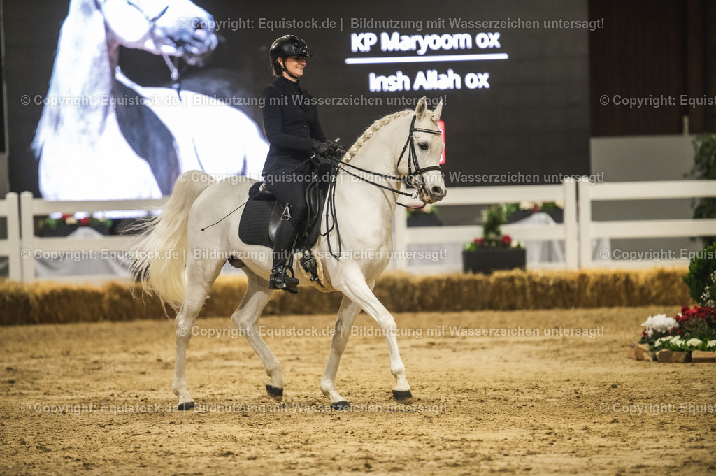 20240302_Hengstvorstellung_Marbach_TOMsPiC_1084 | equistock