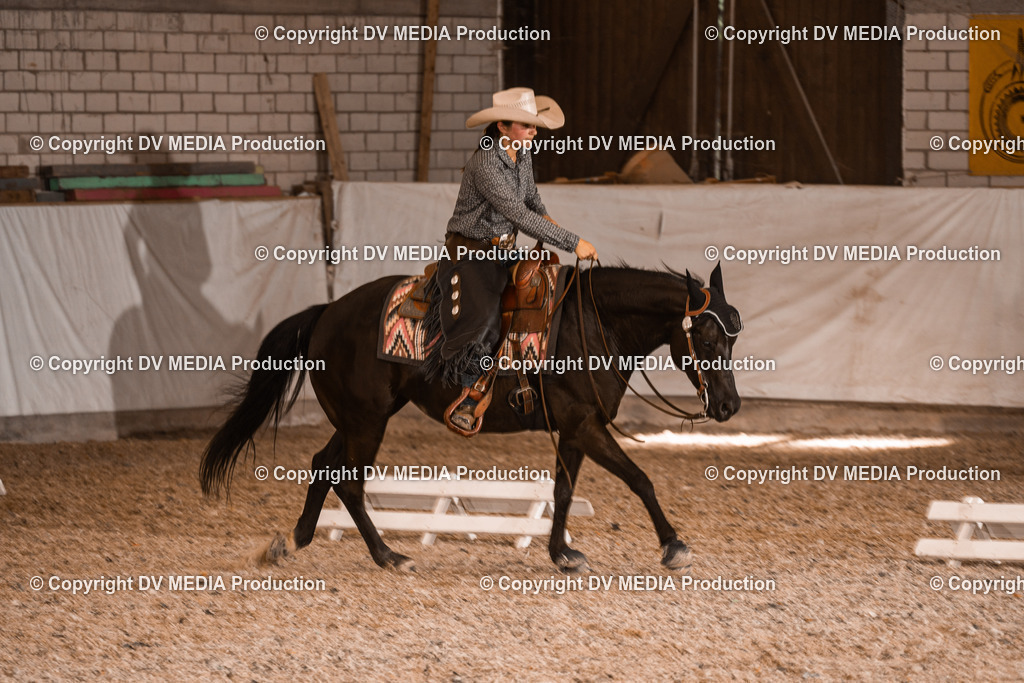 ZH200781 | dv-media-shop - Realisiert mit Pictrs.com