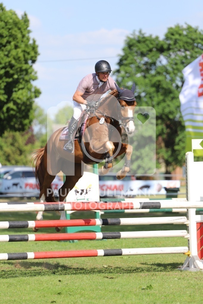 IMG_6652 | Pauline Ullmann Photography - Realisiert mit Pictrs.com