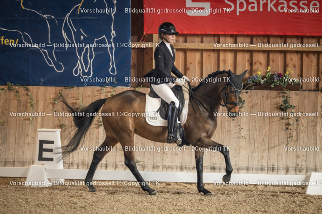 _D5A1034 | Emotionale Pferde- & People-Fotografie rund um Heidelberg, Leimen & Umgebung. Natürliche Fotos von Pferd, Mensch & Familie. Jetzt Termin sichern!