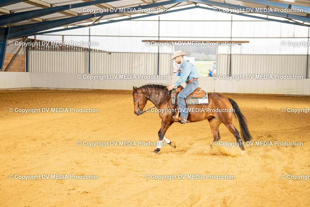 MIT01133 | dv-media-shop - Realisiert mit Pictrs.com