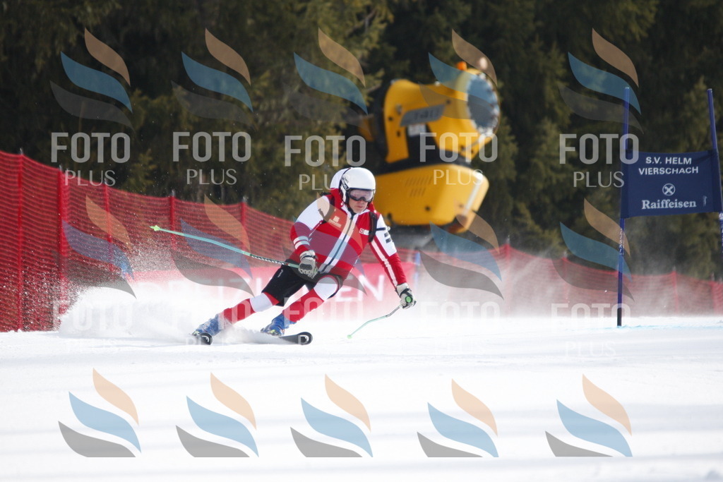 D8429 | holidayphoto