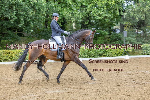 16.8.25 D1 DRE M-126 | mandyhollmannphotographie