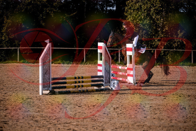 2026_10_03_Siefer-Hof_161048_Z81_90453111 | Professionelle Reitsport-, Turnier- und Eventfotografie von Robert Broda. Galerien mit ausgewählten und bearbeiteten Bildern direkt online ansehen und bestellen.