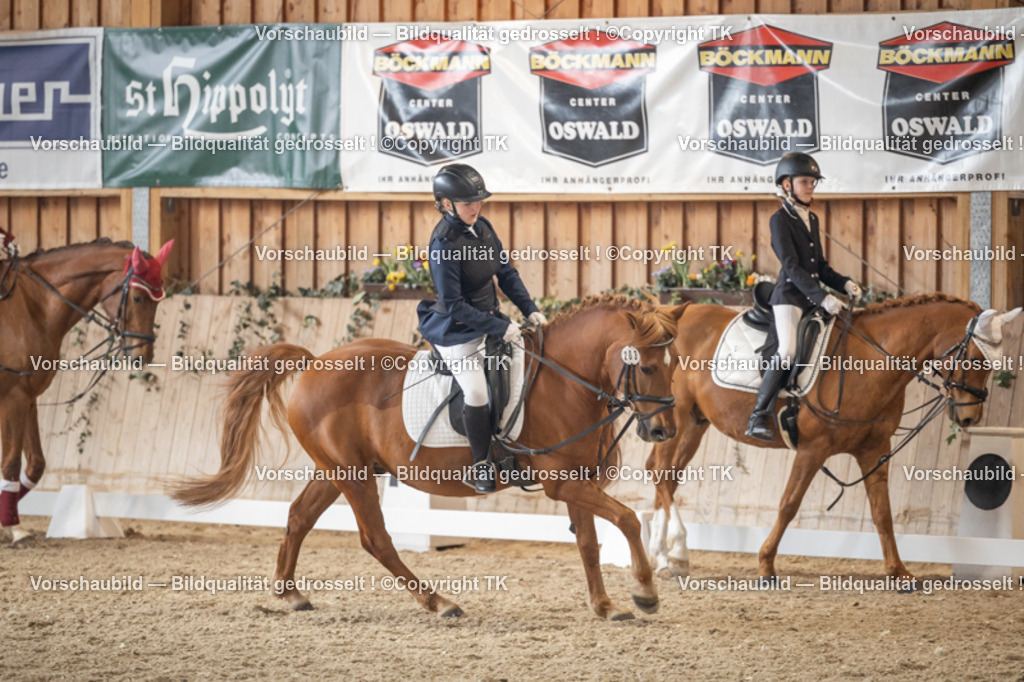 _D5A5653 | Emotionale Pferde- & People-Fotografie rund um Heidelberg, Leimen & Umgebung. Natürliche Fotos von Pferd, Mensch & Familie. Jetzt Termin sichern!