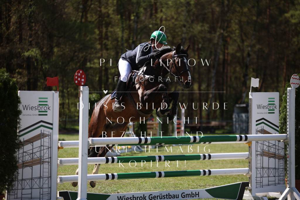 IMGT1139 | pl-fotografie