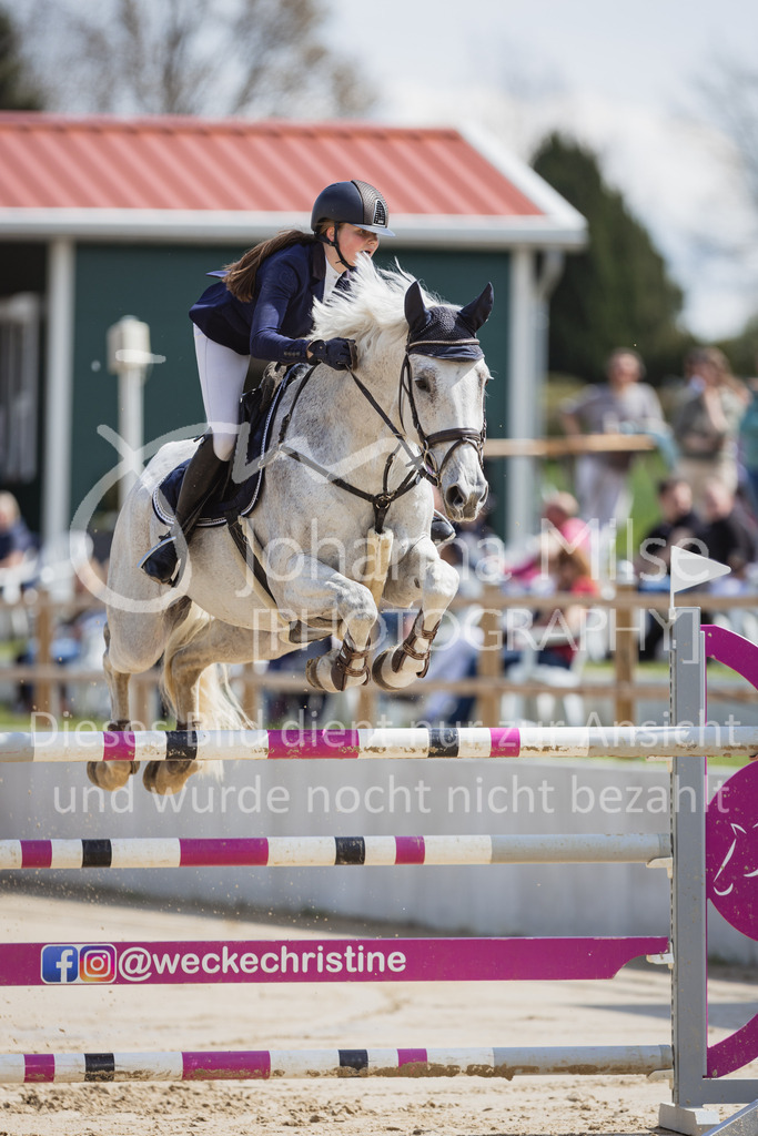 230501_SpengeW_M2St-125 | Deine schönsten Turniermomente als professionelle Fotos! Entdecke hochwertige Pferdesport-Fotografie im Online-Shop. Jetzt Fotos finden & bestellen!