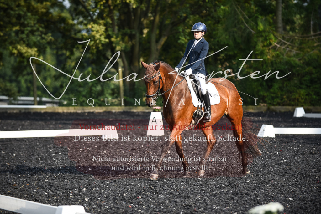 DSC_3368 | Pferde- und Turnierfotografie in Westsachsen. Pferdeportraits, Auftragszeichnungen und intuitive Kunst.