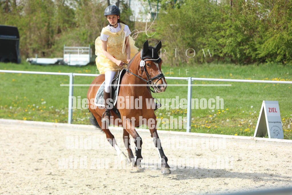 IMGM6486 | pl-fotografie