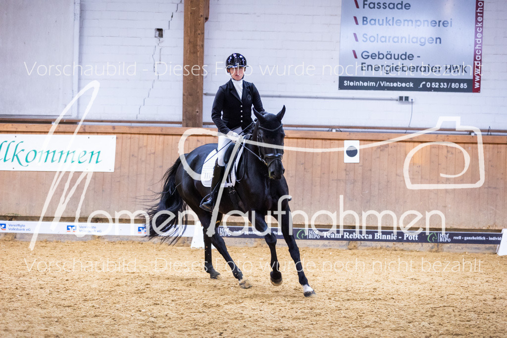 Sth-A-Dre-2St-138 | MomenTaufnahmen Pferdesportfotos